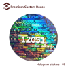Custom Hologram Stickers -3