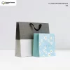 Custom Paper Bags With Logo 02